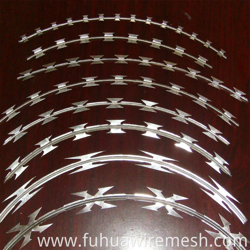 High Quality Razor Wire Cbt 60 3